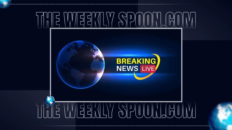 TheWeeklySpoon.com General News: Your Ultimate Source for Comprehensive and Reliable News