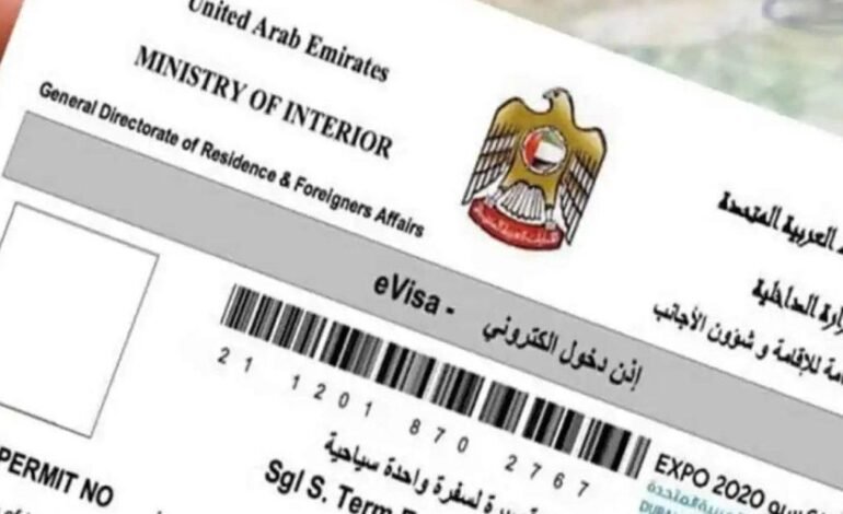 How to Check UAE Visa Status Online?